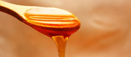 Soigner naturellement votre animal avec le miel