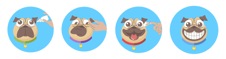 Comment nettoyer les oreilles d'un chien en 4 étapes