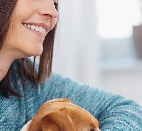 Laboratoire pharmaceutique vétérinaire au service des propriétaires d'animaux